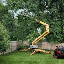 Best Tree and Shrub Care  in Key Largo, FL